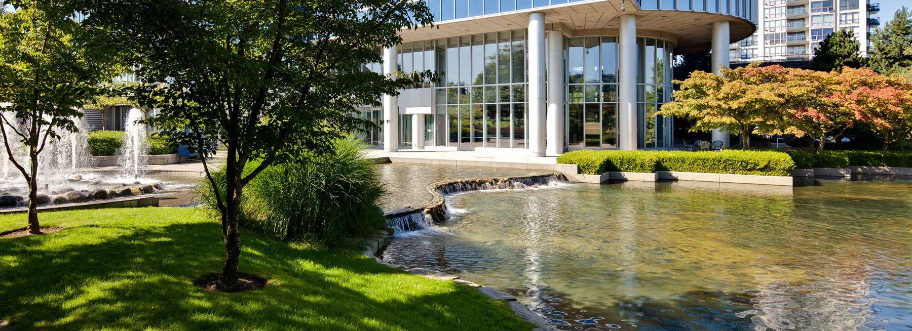 About Us Surrey Law Firm Hamilton Duncan